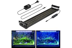 ‎BELLALICHT Aquarium LED Beleuchtung, mit Timer, Dimmbare Aquariumbeleuchtung Lampe Weiß Blau Licht 11W mit Verstellbarer Halterung für 50cm-70cm Aquarium