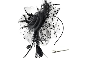 DRESHOW Fascinator Hüte für Damen Pillbox Hut mit Schleier Stirnband und Einer Gegabelten Clip Tea Party Kopfbedeckung