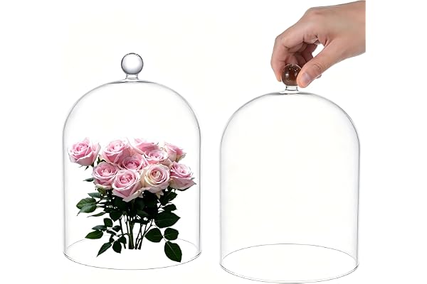 UNICRAFTALE Transparent glasklocka, 20 x 15 cm, glaskupol, samlarobjekt, fönsterklocka, glaskupol, dekoration, ljusgirlang, bordsdekoration, medaljer, foto