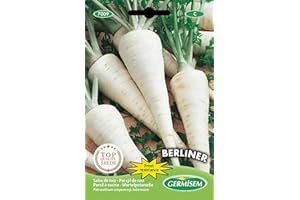 Germisem Berliner Graines de Racine de Persil 3 g EC7009 Multicolore