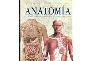 Atlas Ilustrado De Anatomia (Tapa Dura)