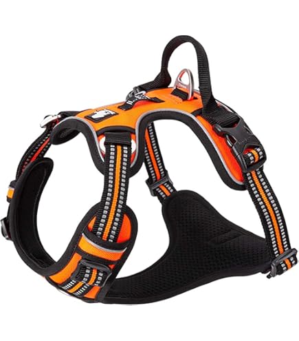 Siduytin Laisse Pour Chien Ceinture De Sécurité Harnais De