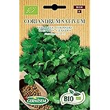 Germisem Biologico Coriandrum Sativum Semi 6 g
