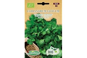 Germisem Biologico Coriandrum Sativum Semi 6 g