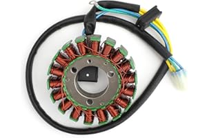 Artudatech Alternador de motocicleta, bobina de estator Magneto, generador magnético de moto, generador de motor, generador de encendido para Polaris Phoenix Sawtooth 200 2005-2016