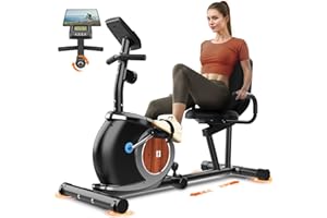 NEEZEE Bicicleta Estática Magnética Para Casa Con 16 Niveles De Resistencia, Monitor Digital LCD, Asiento Cómodo Ajustable Bicicletas Reclinadas Ergonómicas Para Adultos Mayores Ciclismo Fitness