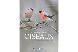 Le grand Atlas des oiseaux: 150 oiseaux des régions de France