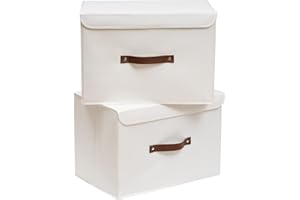 OUTBROS Boîte de Rangement, 38 x 25 x 25 cm Paniers de Rangement Pliables avec Couvercles et Poignées, Boîte Range pour Vêtement, Magazine pour, Chambre à Coucher (2 pièces,Blanche)