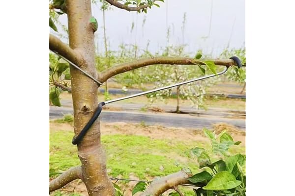 LEILINLIFE Éclisse de branche d'arbre fruitier 20PCS Éclisse de branche polyvalente et durable pour l'extension des branches de support d'arbre (25,4 cm)