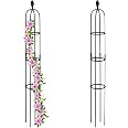 Relaxdays Supporto Per Piante Rampicanti Da Giardino, Set Da 2 Tralicci Di Sostegno Edera E Rose Nero 87143103