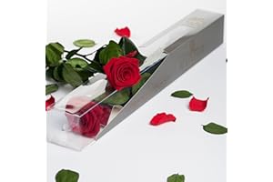 Gdecora Rosa Preservada Eterna Natural con Tallo 55cm Mujer,Mamá,Novia,Abuela- Flores Infinita para Cumpleaños,San Valentín,Día de la Madre,Navidad - Envío a Domicilio (Royal Red)