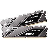 Netac DDR4 RAM 3200MHz 32GB(2X16GB) CL16 288-Pin PC4 25600 XMP 1.35V DRAM High Performance Desktop Memory Kit with Heat Sink 