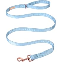 Hundehalsband Mit Abnehmbarer Fliege – Verstellbar, Aus Baumwolle & Strapazierfähig, Für Welpen & Hunde In Größe M