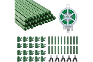 VONLUX 30 paletti per piante, 40 cm, kit di supporto per piante rampicanti, paletti da giardino in acciaio rivestito in plastica, canne da giardino con 45 clip per connettori per tralicci e fascette per