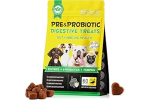 Bieyoc Probiotici per Cani, 60 Masticare Probiotici per Cani da Masticare per Enzimi Digestivi, Sistema Immunitario, Probiotici Cane Prurito per Cani di Tutte Le Razze e Taglie