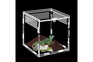 DAOOZHU Futterbox für Reptilien 15 cm³, acryl, Springspinnen, Eidechsen, Schnecken und Käfer
