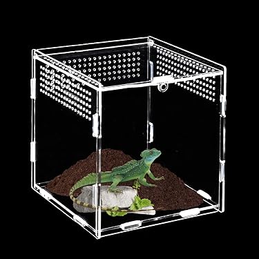 Fonowx 40x Transparente Behälter Für Die Zucht Von Insekten