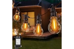 Joomer Festoon Lights Outdoor Mains Powered, 20.5M Outdoor String Lights with 20 Edison Bulbs, 8 Modes Garden String Lights Waterproof Timer Connectable for Indoor Outside Party Patio, Warm White