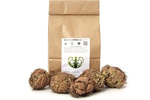 YAKEBA | Rosa de Jericó | Selaginella lepidophylla | 5 piezas I Plantas de interior perfectas como decoración o terrario/Rose Jerico