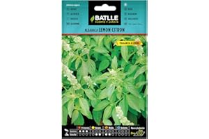 SEMILLAS BATLLE Basilic Lemon Citron