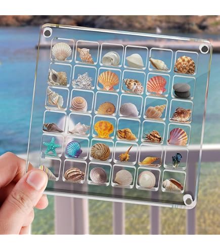 Magnetische Muschel-Displaybox Aus Acryl – 36 Fächer Für Muscheln, Edelsteine & Perlen