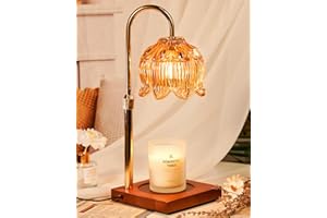 Funistree Candle Warmer Lamp with Dimmer and Timer, Electric Wax Melter for Scented Candle, Thank You Graduation Gifts for Women Mum, Birthday Presents for Her, Candle Heater Lamp with 2 Bulbsr