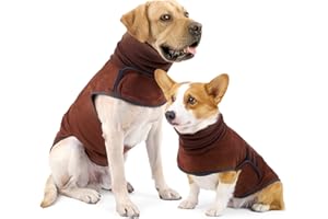 HEYWEAN Cappotto Cane Giacca Invernale Animale da Compagnia Morbido Scamosciato Gilet Cucciolo Antivento Pullover Cane Dolcevita Caldo Cane Felpe Con Cappuccio per Cani Piccoli Medi Grandi