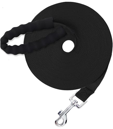 Lange Hundeleine 9 M Für Training & Outdoor – Superleicht, Reißfest, Mit Leckerli-Tasche | Ideal Für Rückruf-Übungen