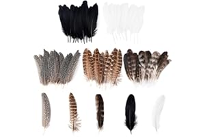 Ticeed 50 Pièces Plumes de Faisan, Plume Decoration Plumes de Faisan Naturelles Plumes Loisirs Creatifs 3 Styles de Plumes Naturelles pour Artisanat Costumes Décoration Chapeau (10-25cm)