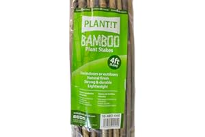 PLANT !T PLANT IT 10-480-060 4 ft Bamboo Stakes - Beige (Pack of 25)
