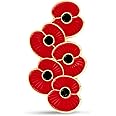 Royal British Legion Ridged Falling Poppy Pin