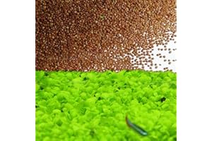 T-SHIN Aquarium Grass Plants Seeds,Aquatic Leaf Carpet Water Grass,Oxygenating Weed Live Pond Plant Seeds,Fish Aquatic Water Grass Decor,Easy to Plant Grow Maintain-10G