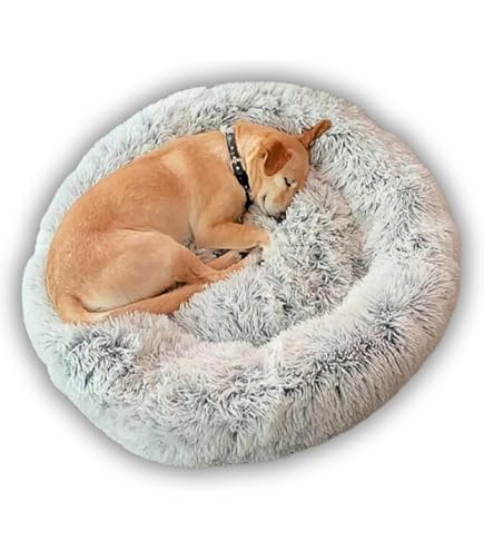 Loir Fluffy Donut Hundebett – 70 Cm, Hellgrau, Weich, Waschbar, Mit Rutschfester Unterseite