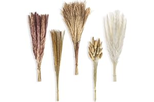YIMAKJ Pampasgras Getrocknet - 90 Stück Natürliche Trockenblumen Set, Getrocknete Natürliche Pampasgras Pflanzen Flauschige Trockenblumen für Hochzeit, Herbst Dekoration, Boho Deko, Blumen Vasen Deko