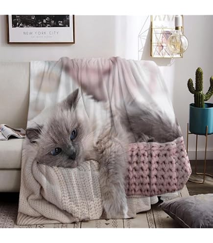 Highdi 3D Gatto Cane Coperta di Morbida Pile, Calda e Accogliente Plaid Invernale Autunnale Divano Coperta Microfibra Pelosa, per Letto Soggiorno Bambini e Adulti (Gatto Arancione,220x240cm