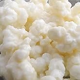 Raw Organic Organic Milk Kefir Grains Tibetan Mushroom 15g