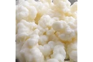 LIVING PROBIOTICS Live Milk Kefir Grains to make kefir milk drink