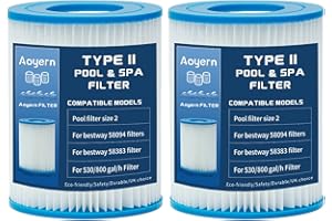 Aoyern Lot de 2 filtres Taille 2 pour Bestway 58383 - pour Filtre de Piscine pour Bestway 58383
