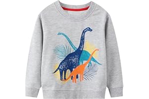 JinBei Felpa per Bambino Cotone Maniche Lunghe Casual Maglione Ragazzo Senza Cappuccio Sportiva Maglietta Girocollo Tops Bambini Pullover Felpe Autunno Inverno Primavera 2 3 4 5 6 7 Anni