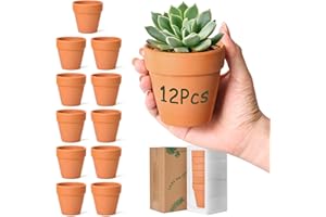 T4U 8CM Small Clay Pots for Crafts 12 Pcs, Mini Terracotta Plant Pots with Drainage Holes, Small Plant Pots for Succulent Cactus Plants, DIY Terra Cotta Pots, Idea Gifts for Party Decor