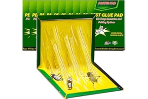PATRICHOR 10 Piezas Trampas, 31.5 CM x 21 CM Trampa Pegamento, Adhesivas Atrapar, Apto Cucarachas Arañas y Geco