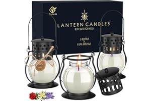 FUNXIM Duftkerzen, 3 Stücke kerzen Geschenkset für Frauen, Sojawachs Aromatherapie Kerzen in Mini-Laterne, für Muttertag, Weihnachten, Valentinstag, Yoga, Lavendel, Vanille (3 x 2.5oz)