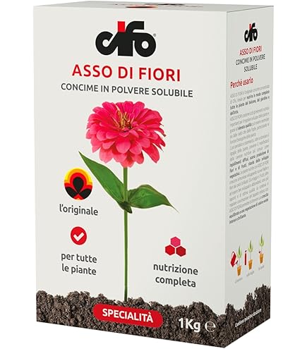 Cifo Sinergon Plus 500 Ml Rigenerante Per Piante Naturale Assorbimento Piante : Amazon.it: Giardino e giardinaggio Cifo Sinergon Plus 500 Ml Rigenerante Per Piante Naturale Assorbimento Piante : Amazon.it: Giardino e giardinaggio