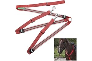 Dowoa LED Pferdegeschirr,Pferdegeschirr Pferde Brustgurt Robuste und Komfortable Sicherheitsausrüstung Beste Sichtbarkeit beim Reiten für sichtbares Pferd