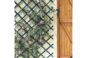 Nortene | Celosia Extensible PVC Trelliflex 1x3 M Verde | Decoración Exterior | Cerramientos Ambientes Modernos