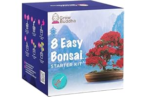 GROW BUDDHA Bonsai Tree Kit | Grow Your own 8 Beautiful Bonsai Tree Varieties at Home| Complete Growing kit – Suitable for Beginners to Experts - Grow Indoor Plants – Memorable Gift for Women, Men and Children