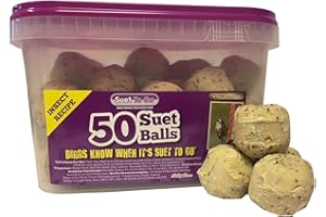 Suet To Go Insect Balls in Tub Wild Bird Treat, 50 x 90 g
