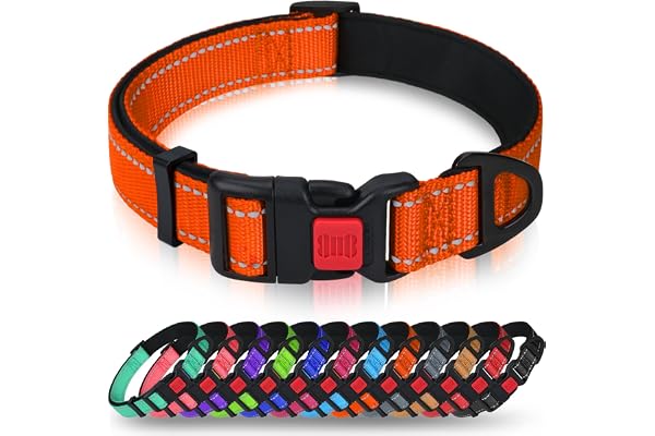 Taglory Collier pour Chien, Collier en Nylon Réfléchissant Réglable Classique avec Rembourré Doux Respirant Mesh pour Moyens Chiens, M, Orange