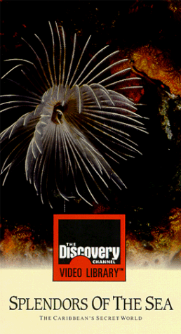 Preisvergleich Produktbild Splendors of the Sea [VHS]