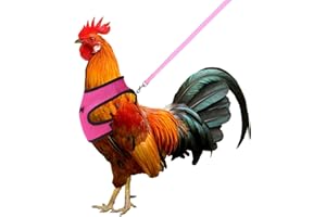 Molain Pettorina per Pollo con Guinzaglio Regolabile Traspirante Gilet per Animali Domestici Pettorina per Animali Domestici per 3-6Kg Anatra Oca Gallina Addestramento Camminare Medio (Rosa)